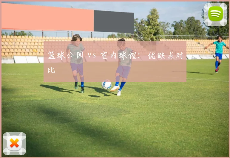 篮球公园 vs 室内球馆：优缺点对比
