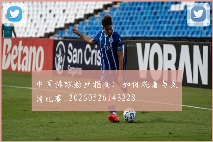 中国排球粉丝指南:如何观看与支持比赛_20260526143228